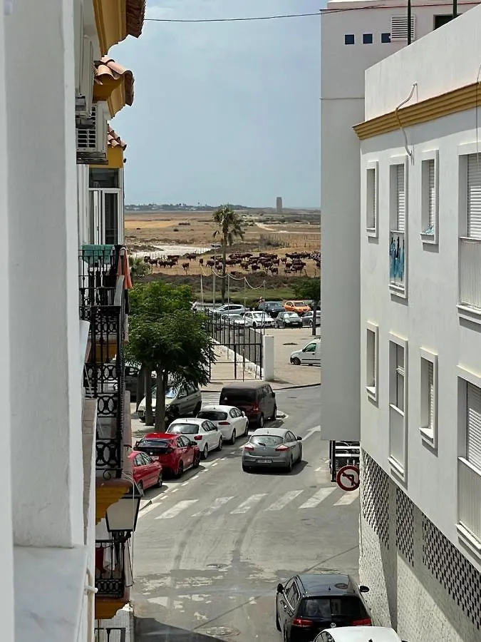 Nuevo Azorin E Apartment Conil De La Frontera Spain